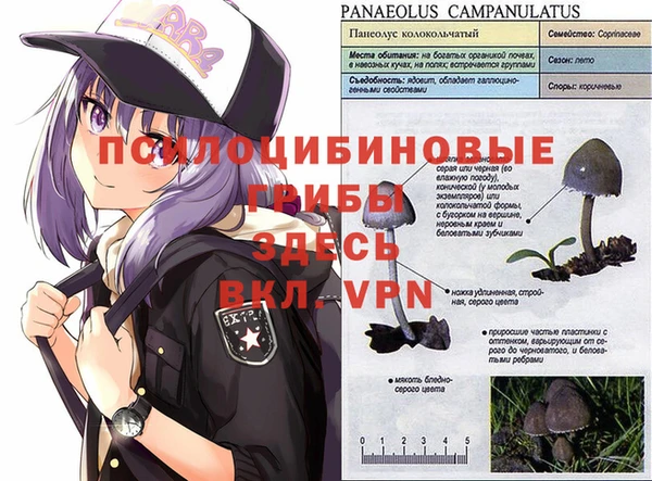 гашишное масло Балабаново