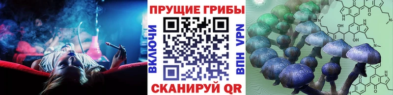 кракен   Николаевск-на-Амуре  Галлюциногенные грибы Cubensis 